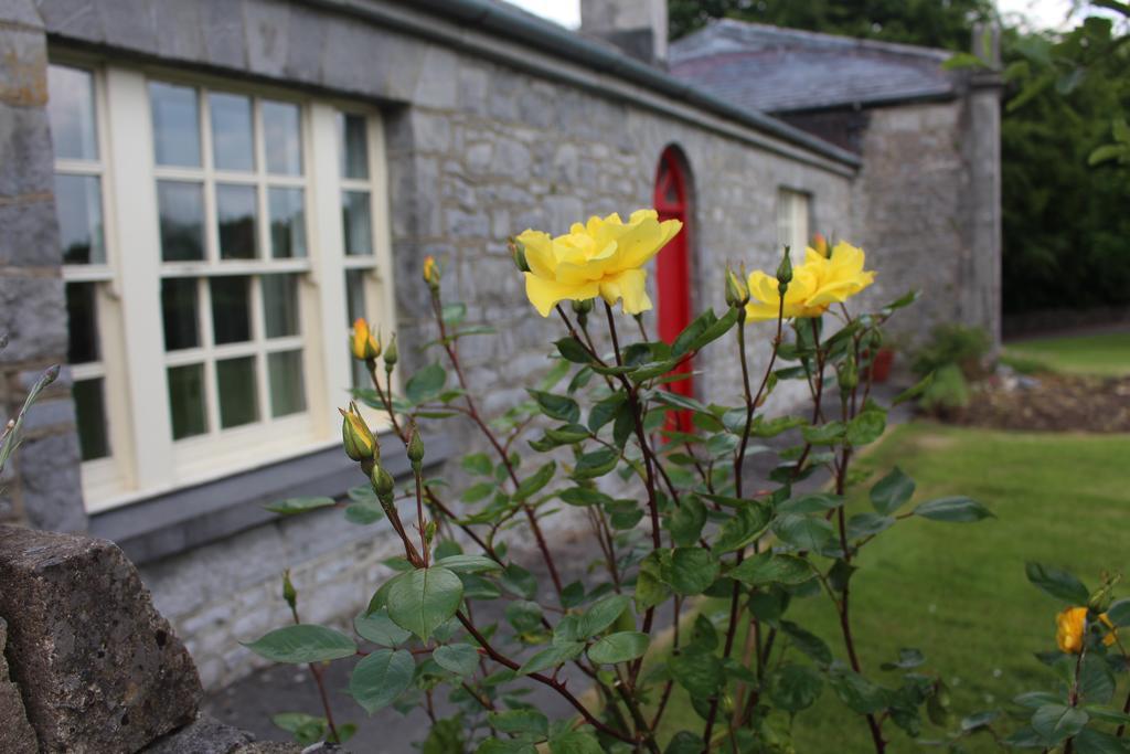Forest Park House B&B Boyle Eksteriør bilde